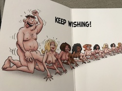 Cards - Greeting: 8B - GCARD - IF YOU WISH HARD ENOUGH... 6905