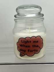 SCENTED ORNAMENTAL CANDLES: SJ - INSIGHTFUL CANDLES - LIGHT ME WHEN.. **